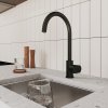 Смеситель для кухни с каналом для фильтрованной воды, черный матовый, Rora, MI RORBLFJM05,